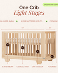 dadada Baby Spirit 8-in-1 Convertible Crib