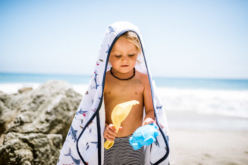Trip to the Beach