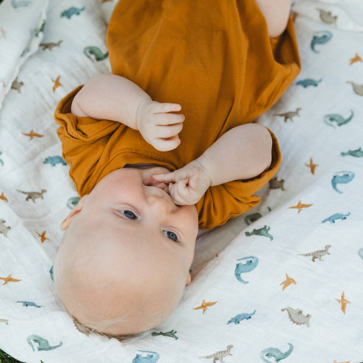 Organic Cotton Muslin Swaddle Blanket 2 Pack - Little Dino