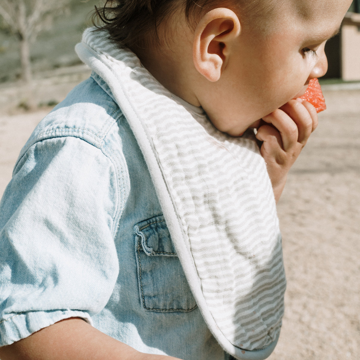 Organic Cotton Muslin Classic Bib 3 Pack - Sage Suns