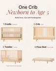 dadada Baby Bliss 4-in-1 Convertible Crib